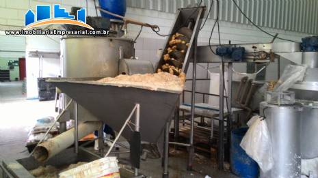 Linha continua para produ��o de batatas fritas Incalfer